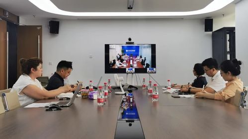 金普創新匯丨中關村獨角獸企業升哲科技參加金普新區云上對接會 信息技術咨詢服務